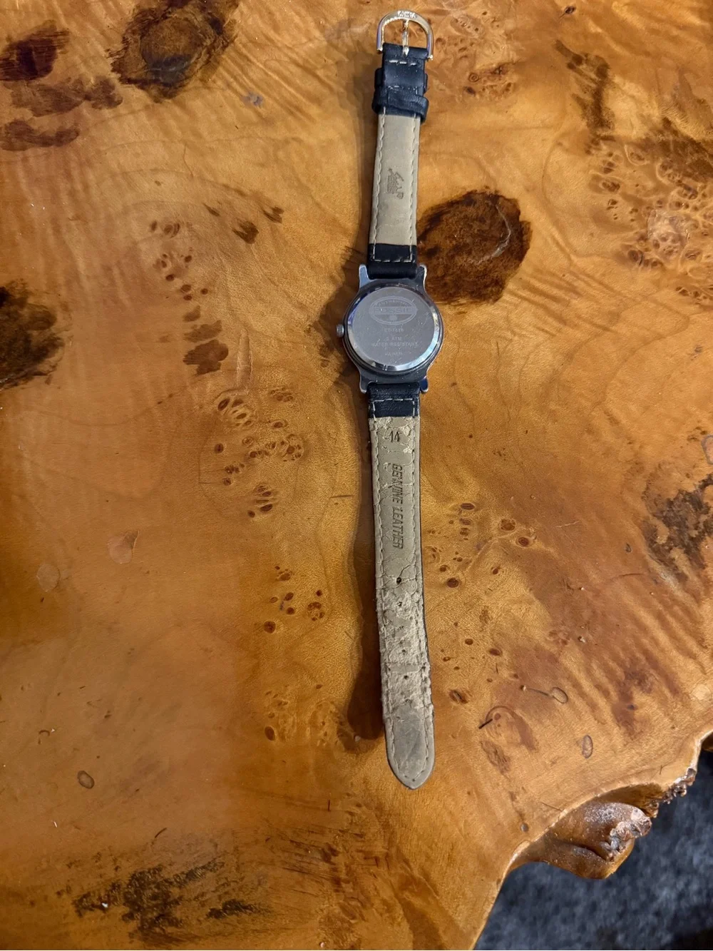Fossil reposhing this